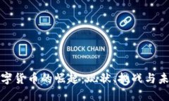 数字货币的崛起：现状、挑战与未来