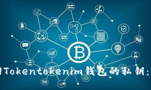 如何找回Tokentokenim钱包的私钥：全面指南