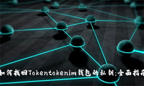 如何找回Tokentokenim钱包的私钥：全面指南