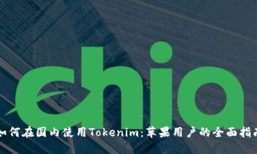 如何在国内使用Tokenim：苹果用户的全面指南