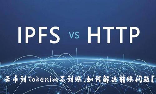 云币到Tokenim不到账，如何解决转账问题？