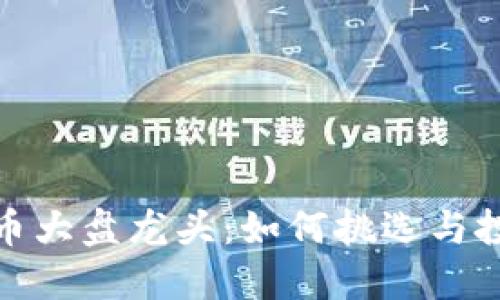 数字货币大盘龙头：如何挑选与投资策略
