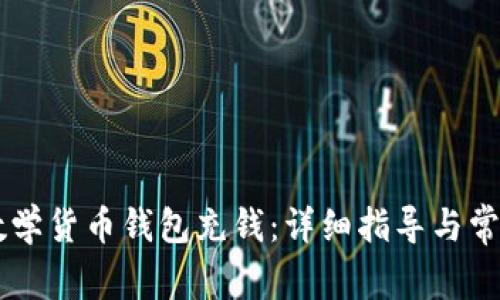 如何给IM数学货币钱包充钱：详细指导与常见问题解答