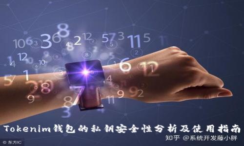 Tokenim钱包的私钥安全性分析及使用指南