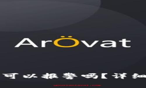 以太坊钱包被盗可以报警吗？详细分析与解决方案