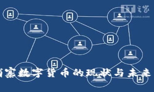 柬埔寨数字货币的现状与未来发展
