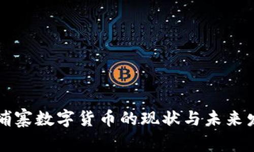 柬埔寨数字货币的现状与未来发展