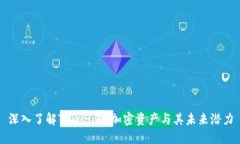 深入了解Tokenim：加密资产