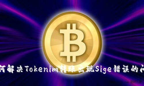 如何解决Tokenim转账出现Sige错误的问题