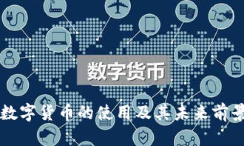 美国数字货币的使用及其未来前景分析