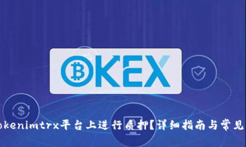 如何在Tokenimtrx平台上进行质押？详细指南与常见问题解答