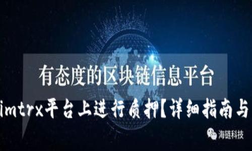 如何在Tokenimtrx平台上进行质押？详细指南与常见问题解答