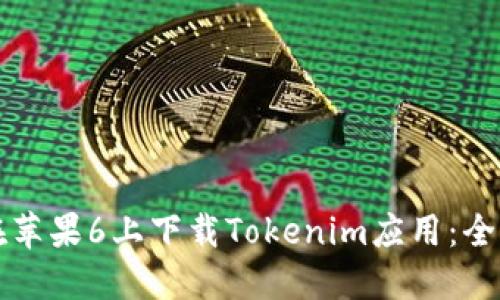 如何在苹果6上下载Tokenim应用：全面指南