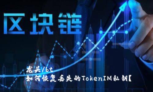  龙头/bt  
 如何恢复丢失的TokenIM私钥？
