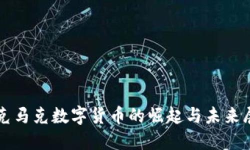 扎克马克数字货币的崛起与未来展望