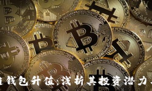   
以太坊公链钱包升值：浅析其投资潜力与发展趋势