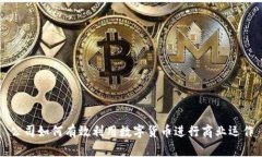 公司如何有效利用数字货