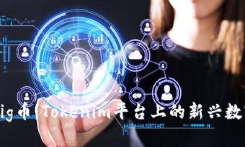 初识Pig币：Tokenim平台上的新兴数字货币