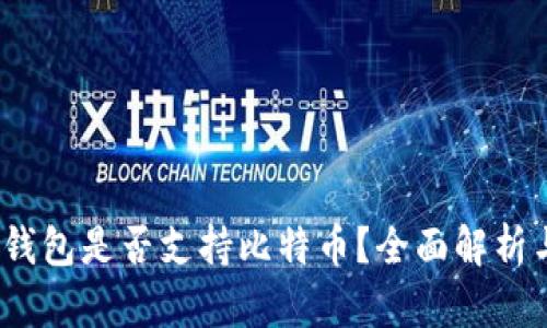 Tokentokenim钱包是否支持比特币？全面解析与你关心的问题