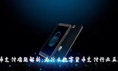 数字货币支付难题解析：