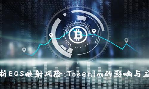 深入解析EOS映射风险：Tokenim的影响与应对策略