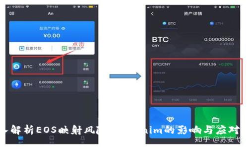 深入解析EOS映射风险：Tokenim的影响与应对策略