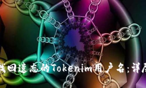 如何找回遗忘的Tokenim用户名：详尽指南