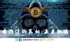 揭开数字货币泡沫的真相