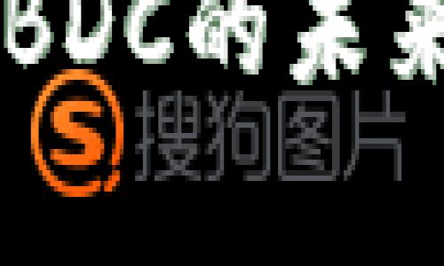 揭示国际央行数字货币CBDC的未来：金融革命的前景与挑战