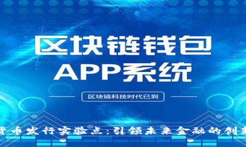数字货币发行实验点：引领未来金融的创新之路