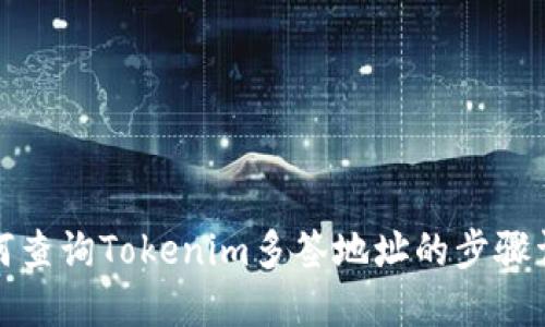 如何查询Tokenim多签地址的步骤详解