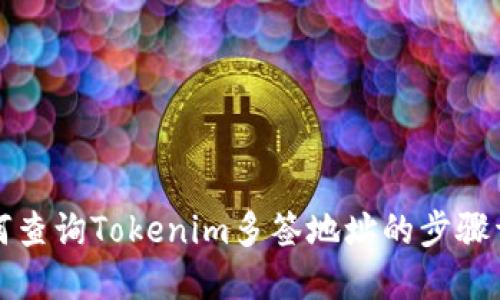如何查询Tokenim多签地址的步骤详解