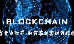 赵老哥的数字货币世界：