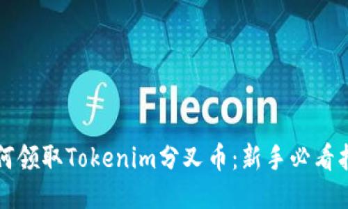 如何领取Tokenim分叉币：新手必看指南