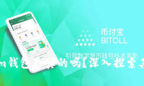 国际版Tokenim钱包是真的吗？深入探索其安全性与功能