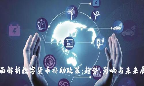 全面解析数字货币补助政策：趋势、影响与未来展望