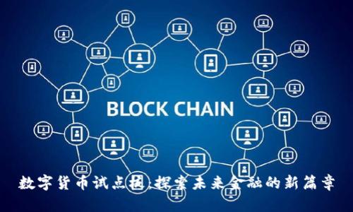 数字货币试点板：探索未来金融的新篇章