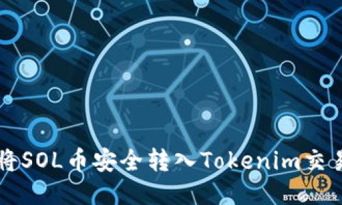 如何将SOL币安全转入Tokenim交易平台