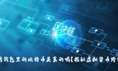 以太坊钱包里的比特币是