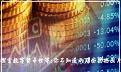 探索数字货币世界：你不