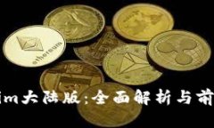 Tokenim大陆版：全面解析与