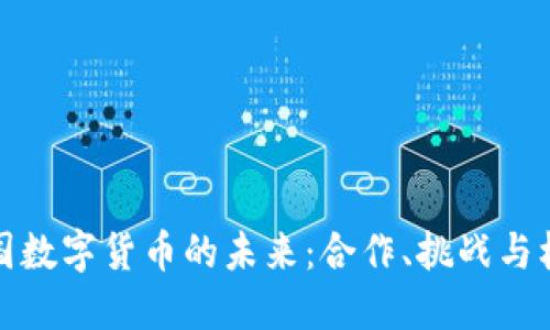 韩国数字货币的未来：合作、挑战与机遇