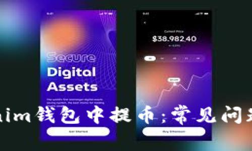 如何在Tokenim钱包中提币：常见问题和解决方案