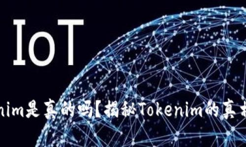 国际版Tokenim是真的吗？揭秘Tokenim的真相与投资风险