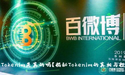 国际版Tokenim是真的吗？揭秘Tokenim的真相与投资风险