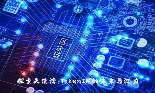探索天使湾：TokenIM的未来与潜力