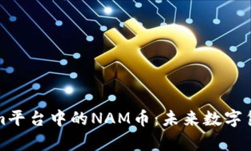 深入解析Tokenim平台中的NAM币：未来数字货币的潜力与价值
