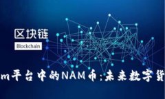 深入解析Tokenim平台中的NAM币：未来数字货币的潜