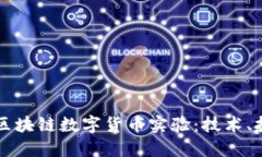深入探索区块链数字货币实验：技术、挑战与未
