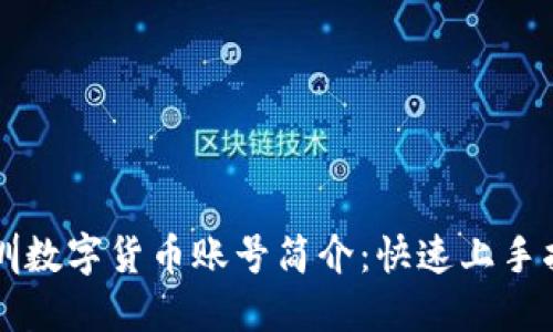深圳数字货币账号简介：快速上手指南
